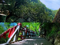 -塔云山