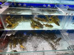 -龙湖南京江北天街