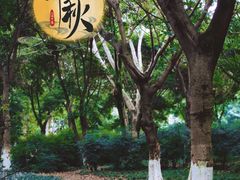 -沙河三洞古桥公园