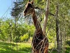 -北京野生动物园