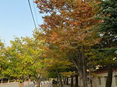 -大连理工大学(凌水校区)