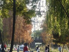 -九里河湿地公园