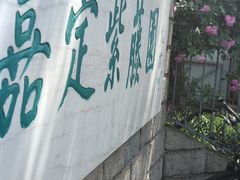 -嘉定紫藤园