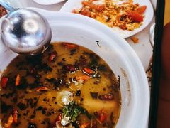 -蜀腾川·火锅鱼.烤鱼(新世界城店)