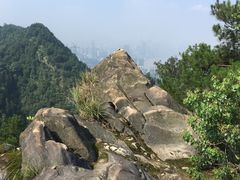 -南山植物园