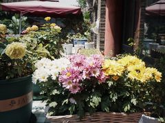 -靓靓蒸虾(中山里店)