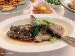 -顺峰(农展馆店)