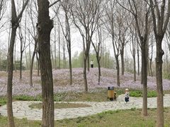 -东郊湿地公园