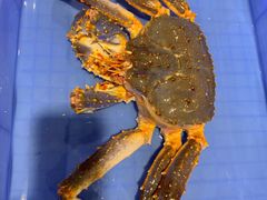 -蟹后Crabber(水悦城店)