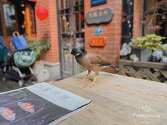 -古董花园(思南路42弄小区店)