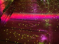 -兰溪地下长河