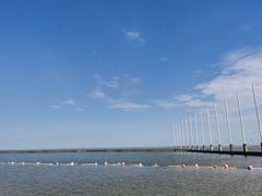 -碧海金沙
