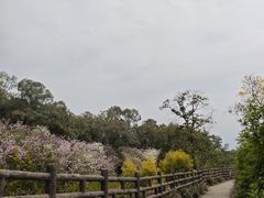 -广州莲花山旅游区