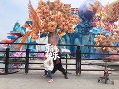 -桐乡凤凰湖