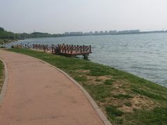 -丁香湖公园