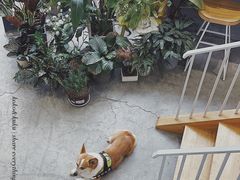 -隹木咖啡馆(宝龙广场店)