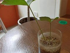 -fishtank鱼缸咖啡(三山街店)