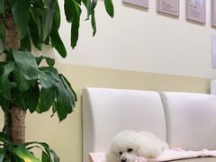 -美联众合动物医院·24h转诊中心