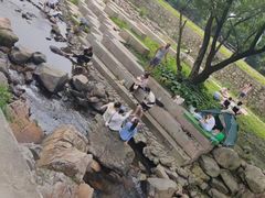 -北仑森林植物园