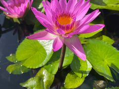 -三亚南山文化旅游区