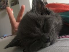 -美联众合动物医院·24h转诊中心