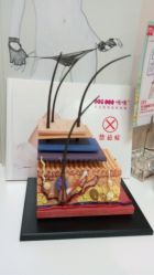 android_upload_pic-咪咪专业脱毛连锁机构