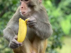 -徐復昌酒楼·东台老字号(东台店)