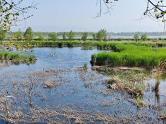 -野鸭湖国家湿地公园