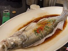 -春天来了(印象新天地店)