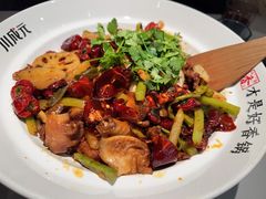 -川成元·麻辣香锅(凯德MALL西直门店)