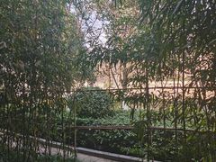 -薇酌饮·陕西菜(南门外店)