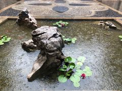 -苏州吴宫泛太平洋酒店