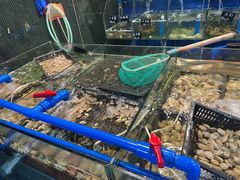 -这片海·海景餐厅(博鳌店)