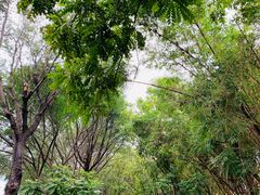 -松山湖南湖湾露营营地