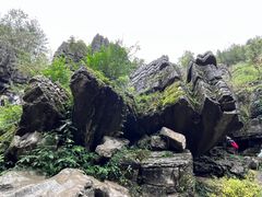 -梭布垭石林景区