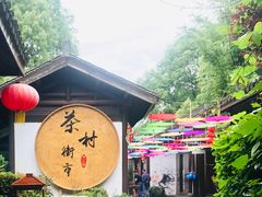 -天目湖山水园