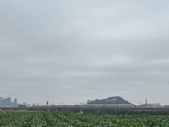 -光明小镇欢乐田园