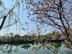 -无锡蠡湖国家湿地公园-蠡园