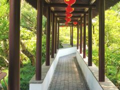 -上海醉白池公园
