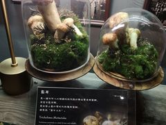 -原牛道·潮汕围炉火锅(讯美店)