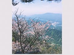 -罗田天堂寨风景区