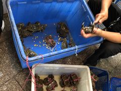 -喜洋洋蟹庄(阳澄湖店)