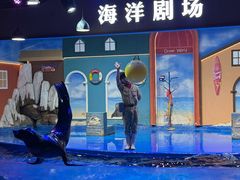 -重庆欢乐海底世界