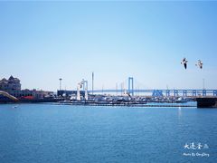 -星海湾跨海大桥
