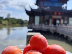 -召稼楼古镇
