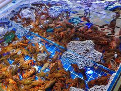 -四海蒸鲜蒸汽海鲜自助(北戴河店)