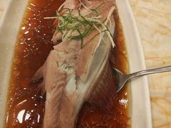 -顺风海鲜港(金玉兰店)