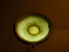 -四川宋瓷博物馆