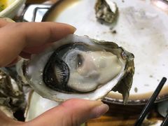 -大富蚝乌东哥饭店·石锅鱼杂·柠檬鸭(革新路店)