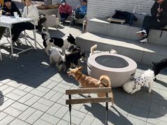 -小意思咖啡店(草桥店)